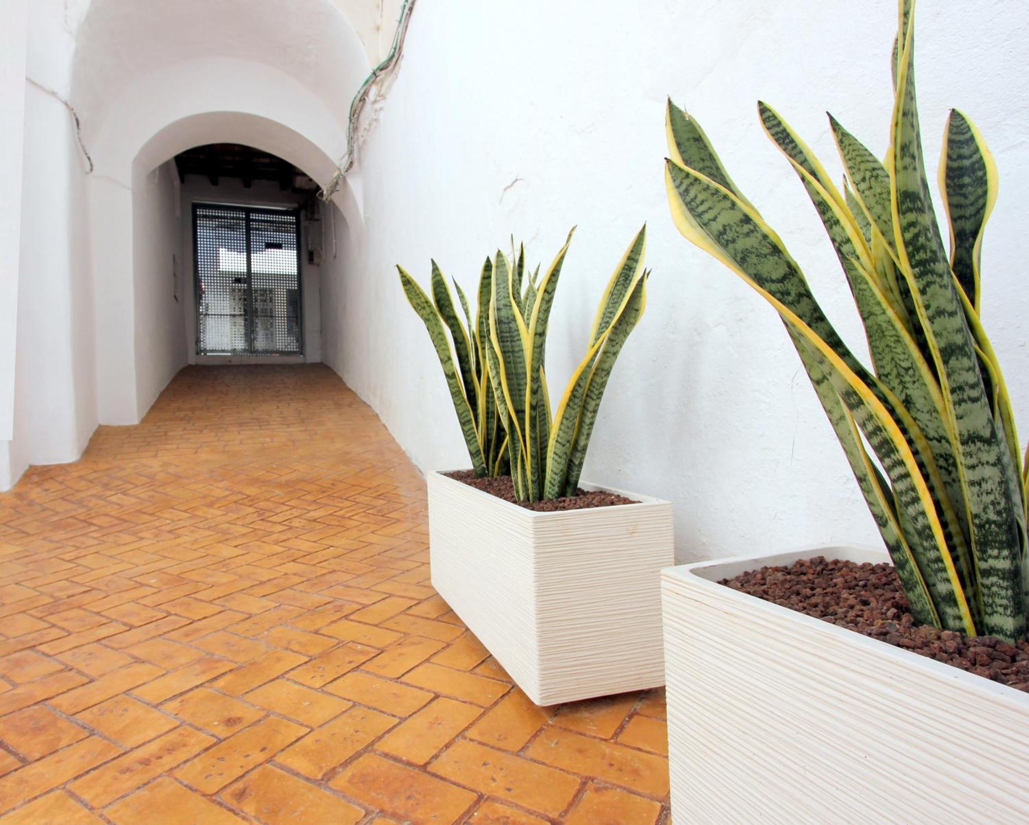 Apart Conil10 Conil De La Frontera Exterior photo